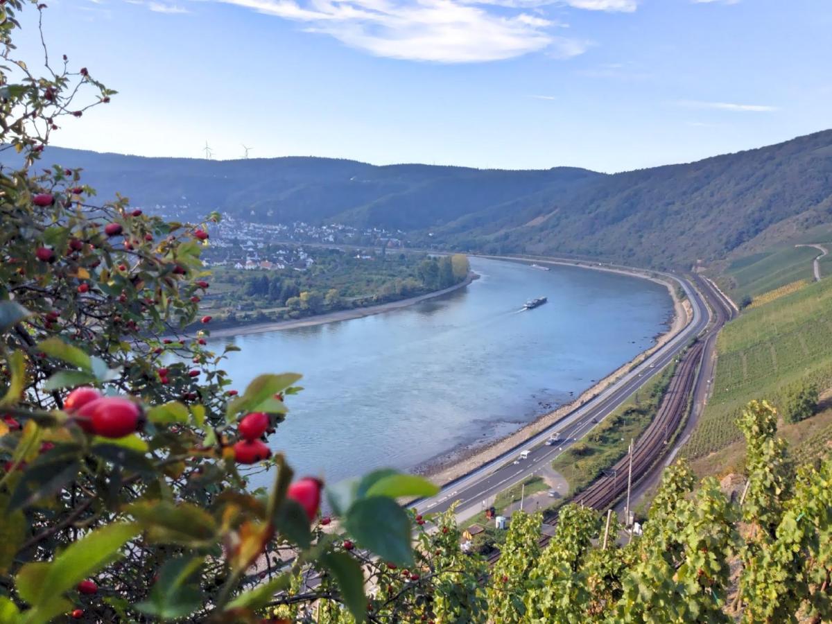 Hotel Rheinlust Boppard Pokoj fotografie